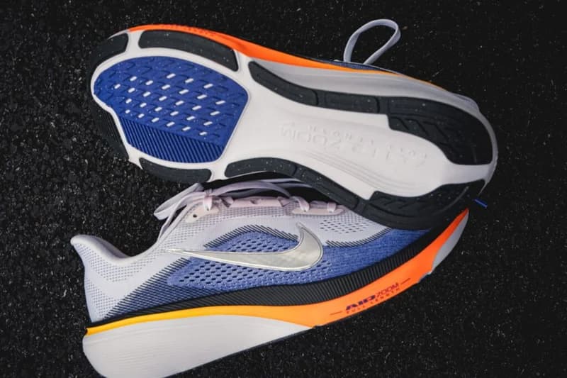 Nike 페가수스 42