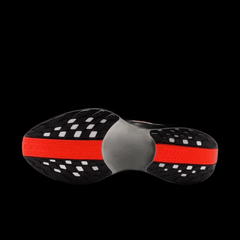 Nike 페가수스 플러스 - 2