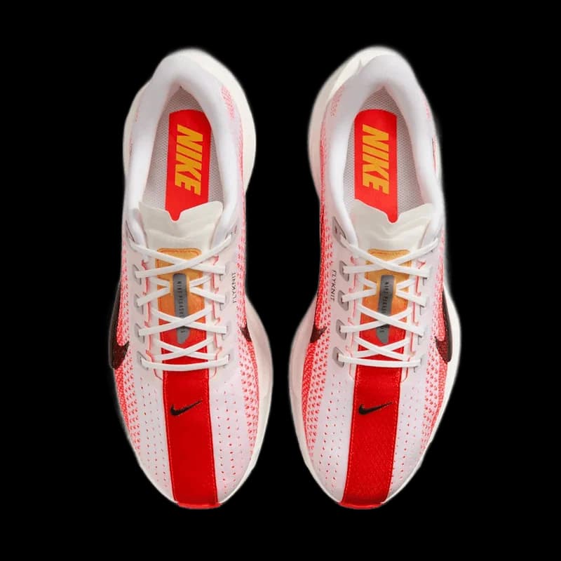 Nike 페가수스 플러스 - 3