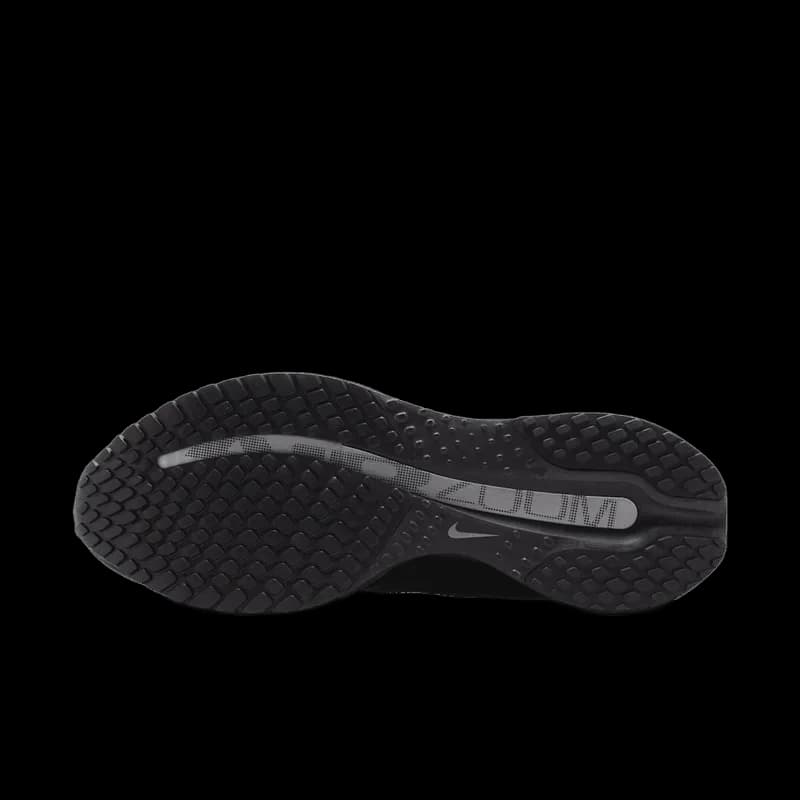 Nike 페가수스 프리미엄 - 2