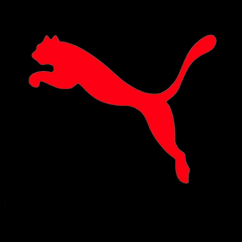 Puma 매그맥스 나이트로 2 - 5