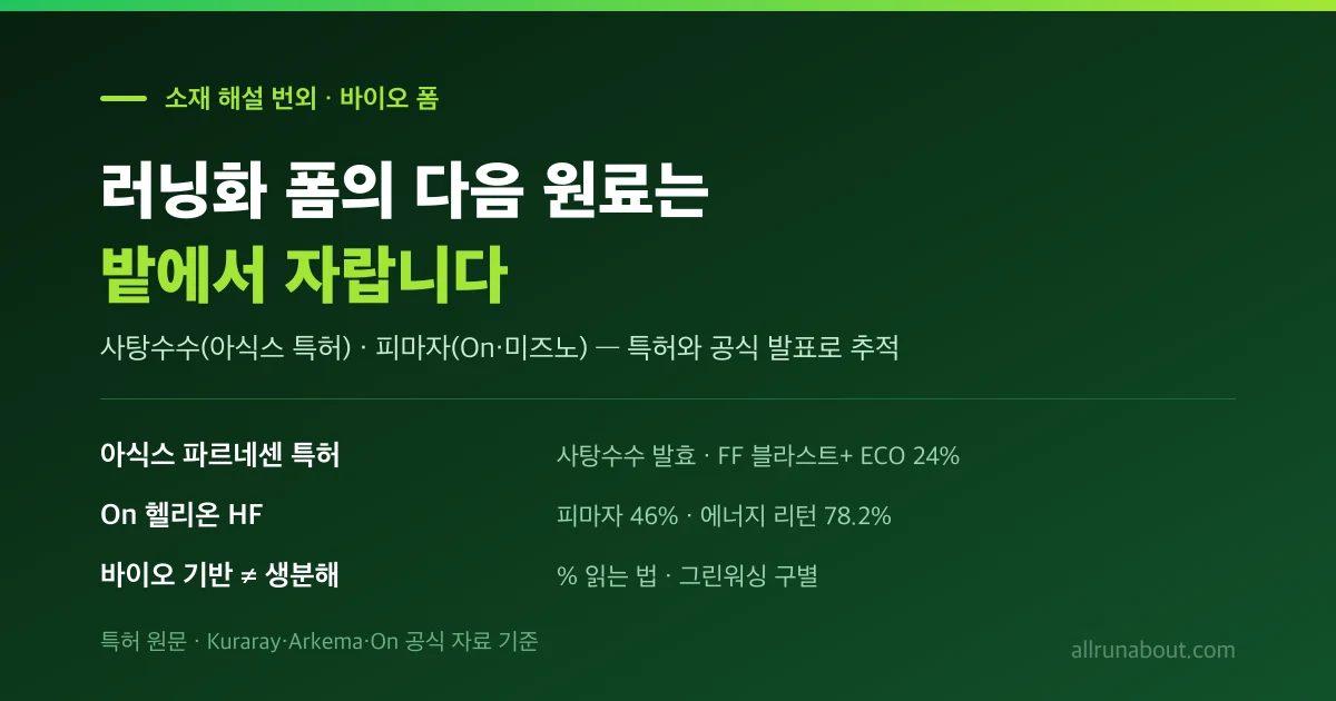 러닝화 폼의 다음 원료는 밭에서 자랍니다 — 사탕수수와 피마자
