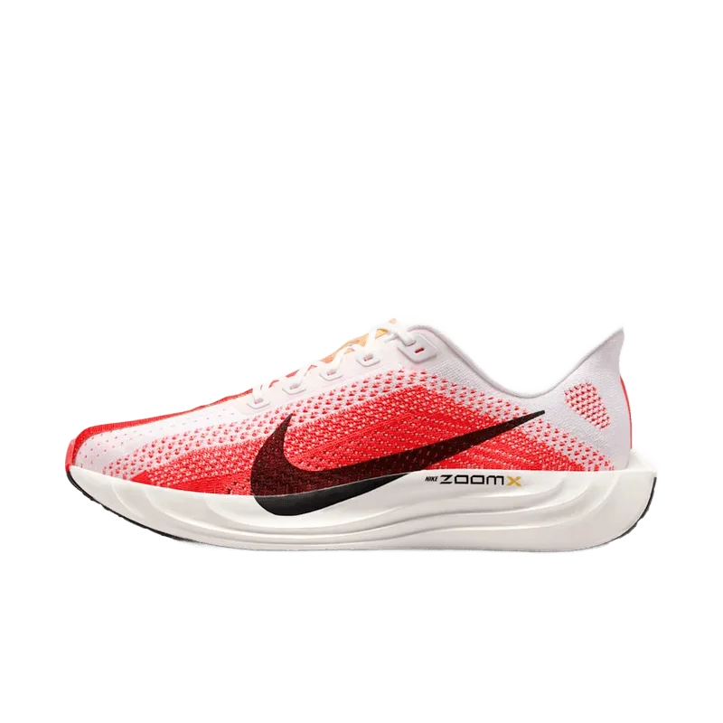 Nike 페가수스 플러스