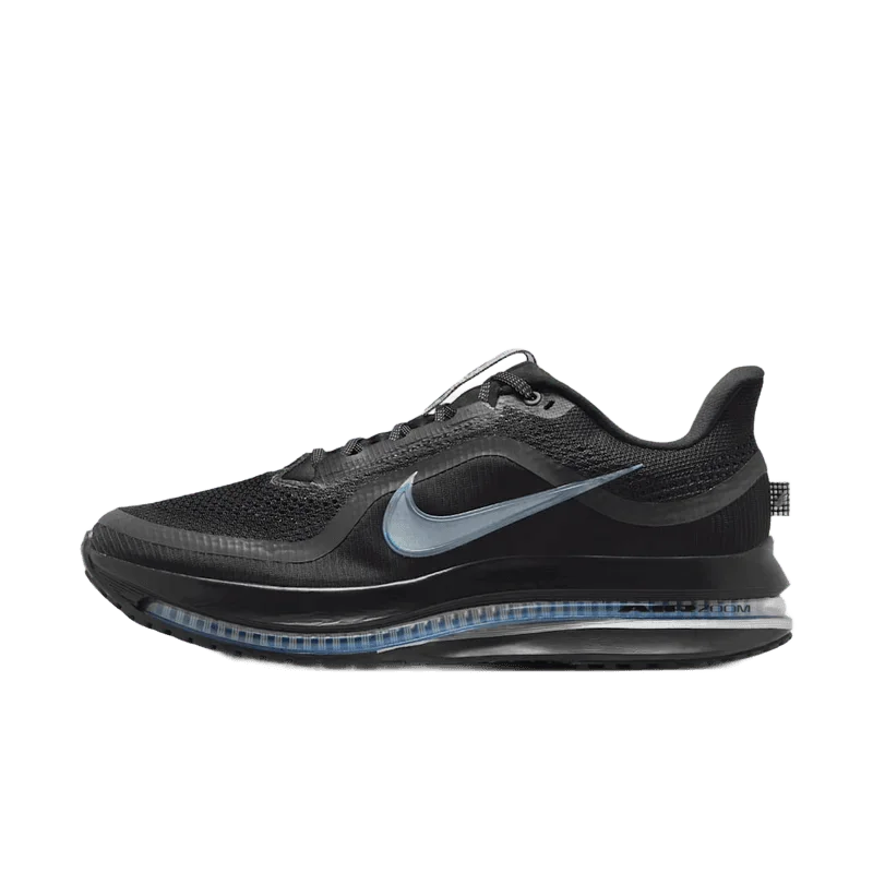 Nike 페가수스 프리미엄