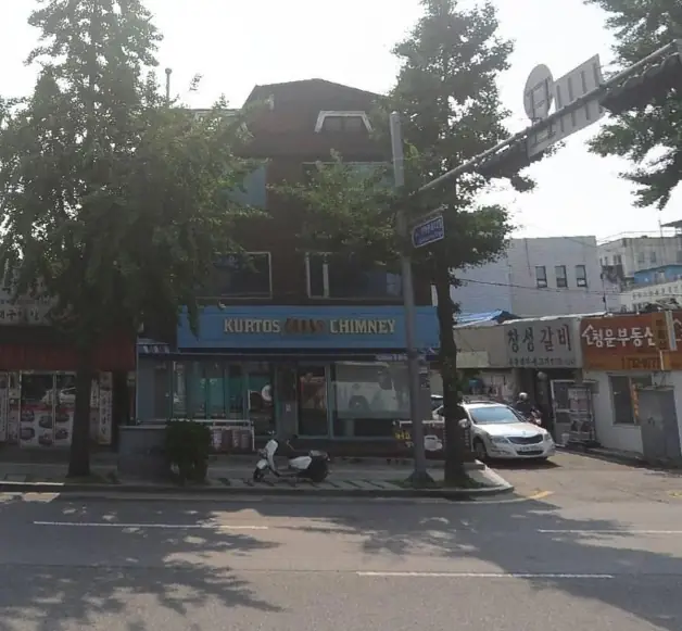 2016년 6월 나무 사이로 보이는 건물과 거리